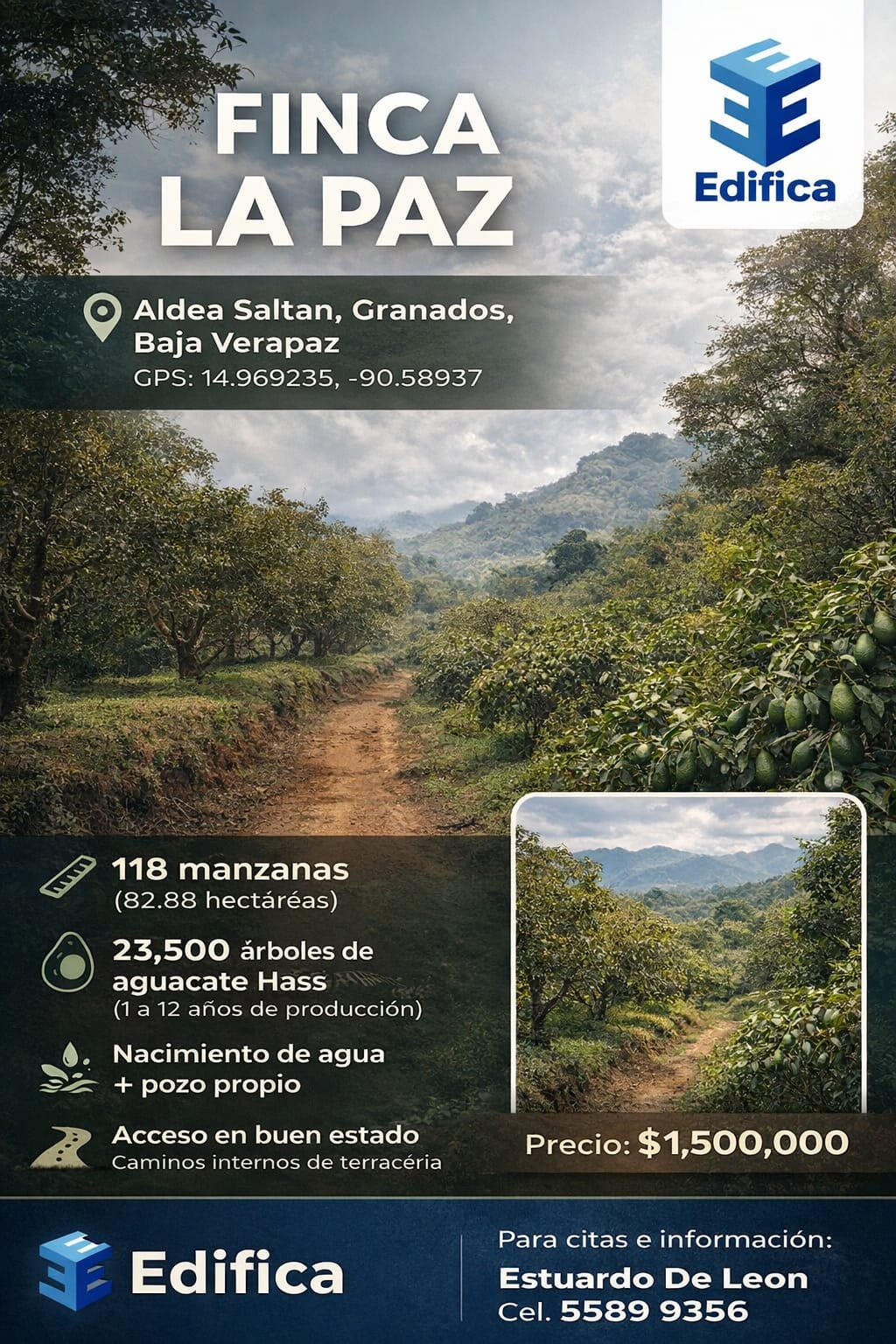 Finca La Paz en Aldea Saltán, Granados, Baja Verapaz